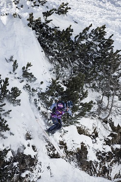 20170309 Lori DomDaher