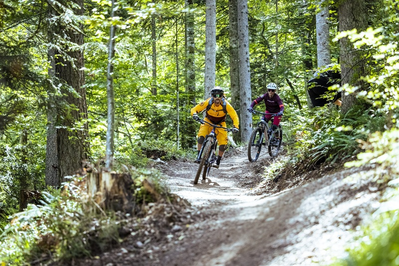 Neue Streuböden Line Fiberbrunn
