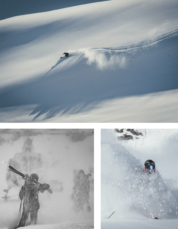 fotofolio daniel bear 05