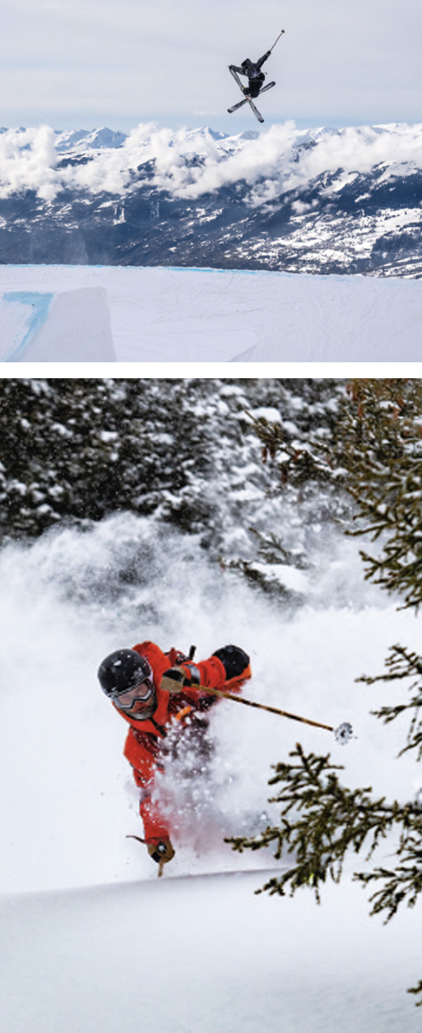 riderprofile palm 02