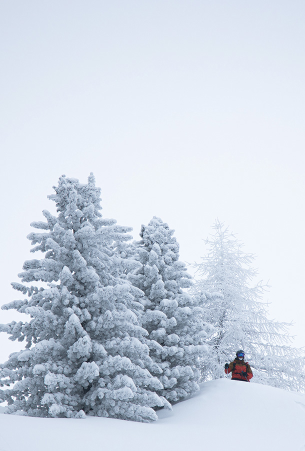 bergstolz fotofolio 08
