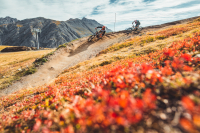 Neu dabei bei der Gravity Card: Mottolino Bikepark Livigno
