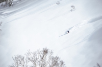 AVABAG AUSGEZEICHNET ALS PRODUCT OF THE YEAR