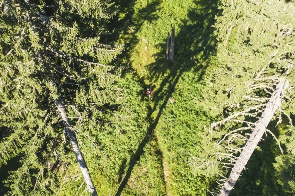 Matzalm Trail | Saalfelden Leogang