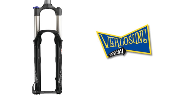 ROCKSHOX Sektor Silver RL