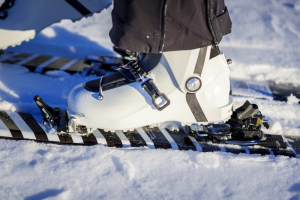 FRITSCHI Xenic plus 12