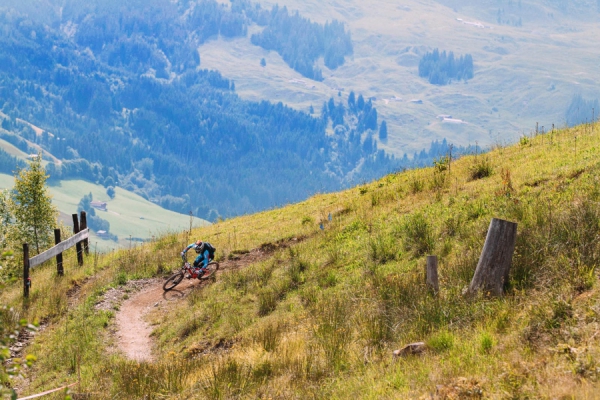 Andr&eacute; Wagenknecht