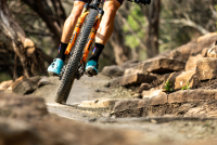 Die neue MaxxSpeed-Mischung und der Matschkönig Severe sind da!